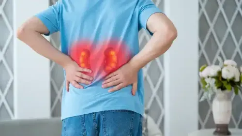 What is the Treatment for Increased Echogenicity of the Kidneys?